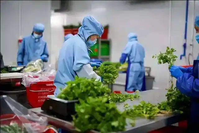 连锁餐饮供应链如何高效管理?
